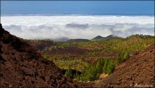 teneriffa 2011 - img_9034.jpg
